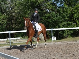 IMG_5023_web